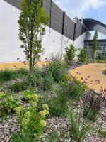 Alexis PERSIAUX - ARCARRé Architectes